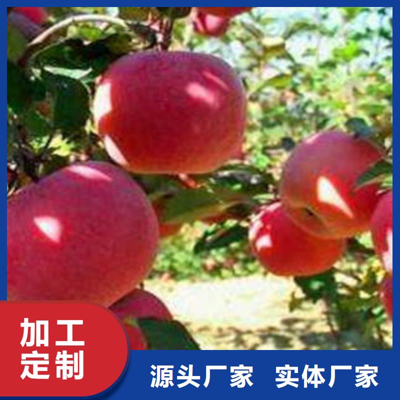 红富士苹果服务至上