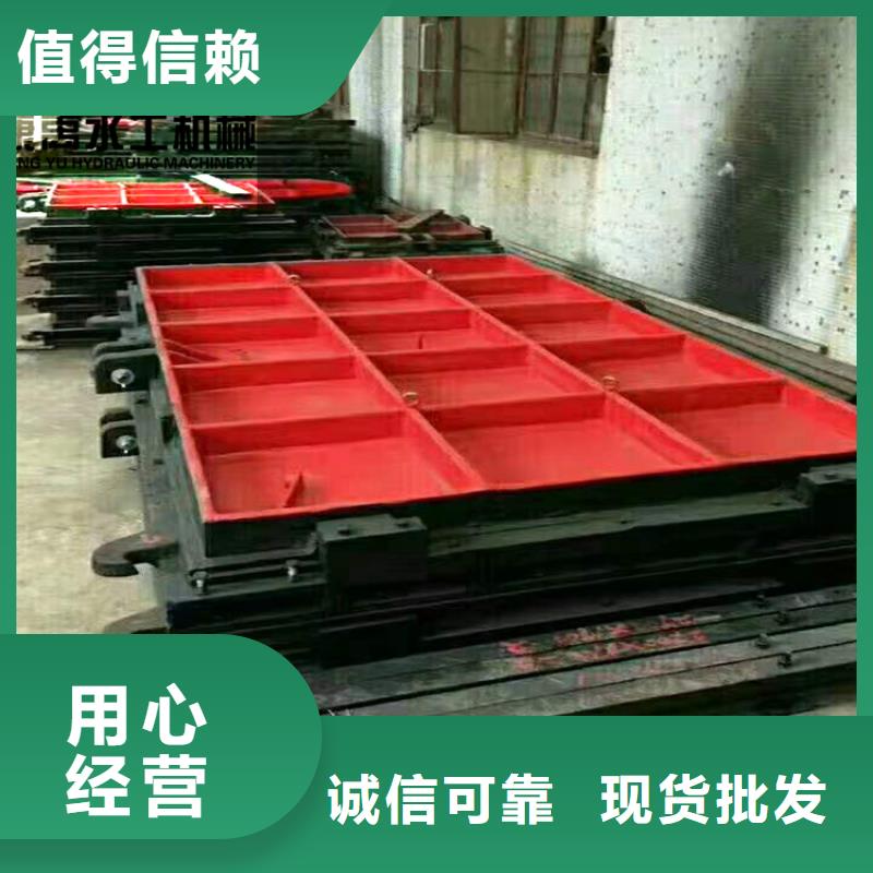 制造商闸门选择我们没错