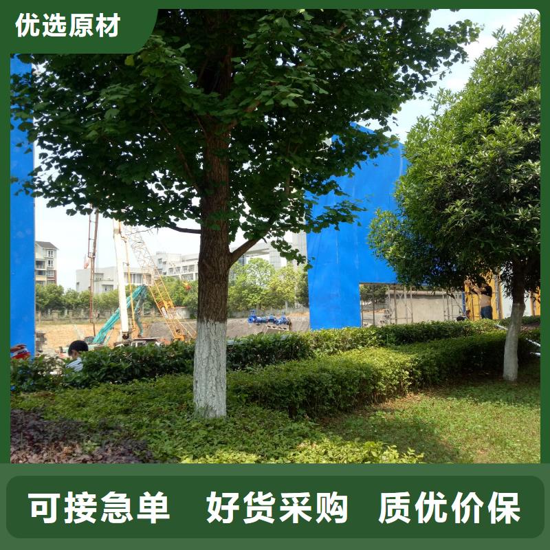广告素材支持非标定制