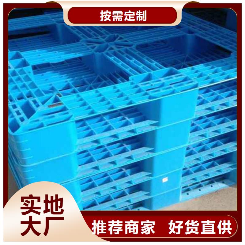 塑料托盘塑料托盘价格厂家现货批发