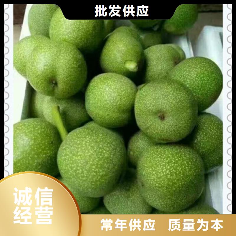 【兴海】【 核桃苗桃树苗生产经验丰富】70418.com