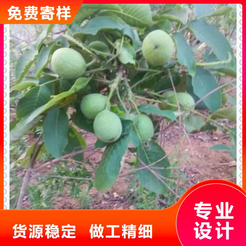 【兴海】【 核桃苗桃树苗生产经验丰富】70418.com