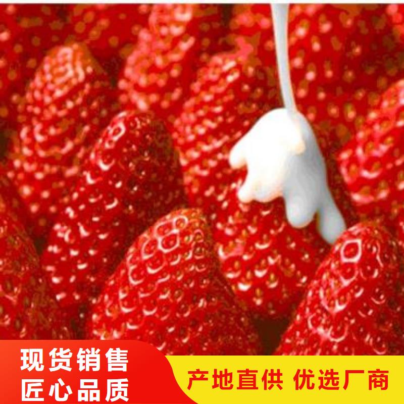 草莓苗_山楂苗质保一年