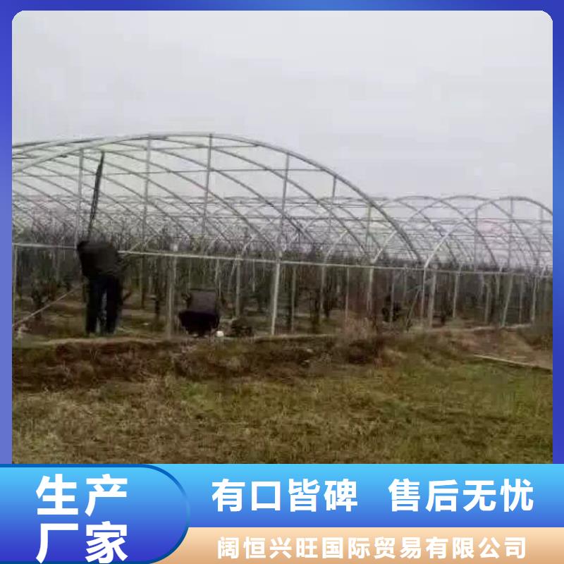 T3紫铜板视频-内蒙古阿拉善市|兴安|赤峰|包头|通辽|呼伦贝尔T3紫铜板-阔恒兴旺