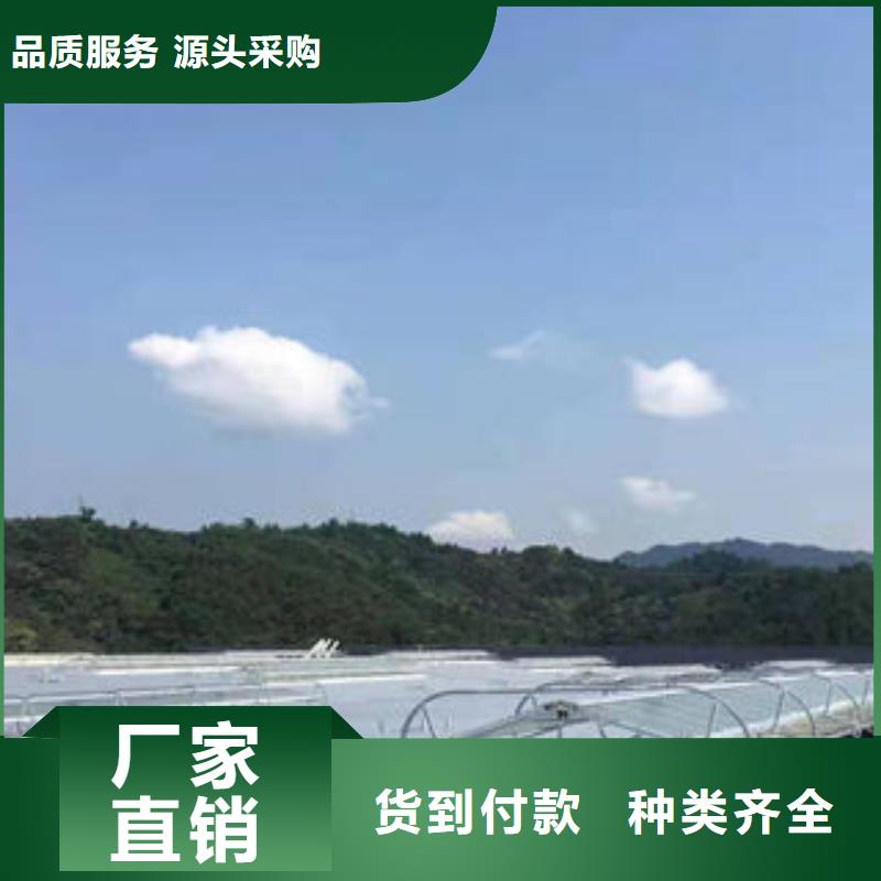 三角形排烟天窗量大从优