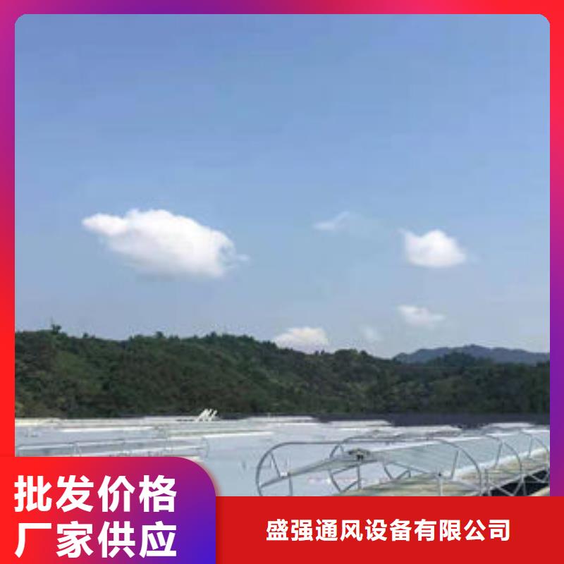 屋顶通风天窗型号全