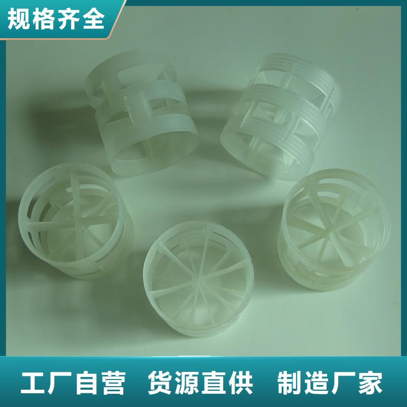 鲍尔环多面空心球直销厂家