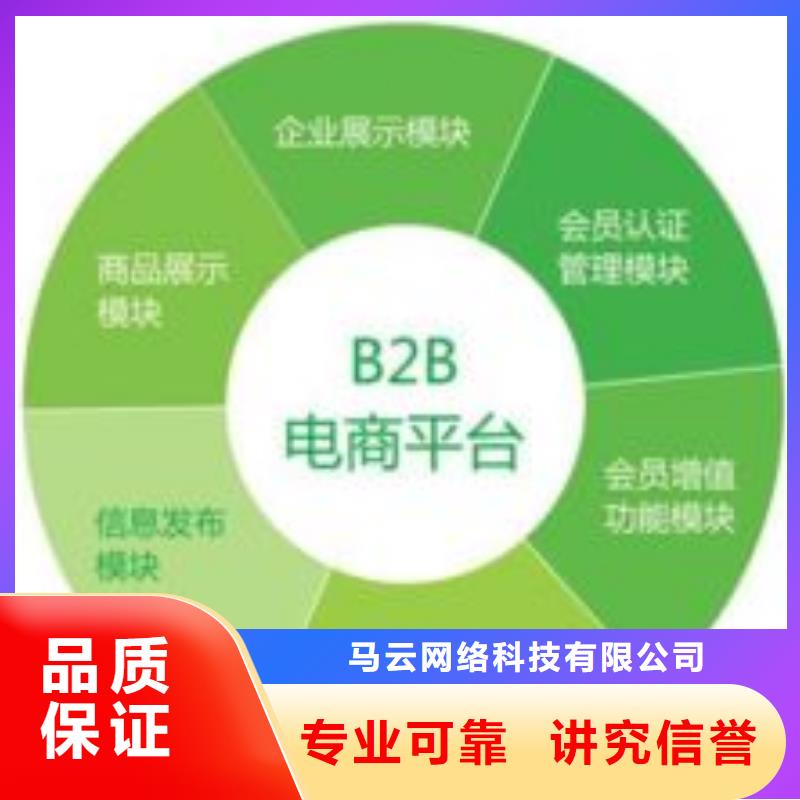 马云网络网络推广团队