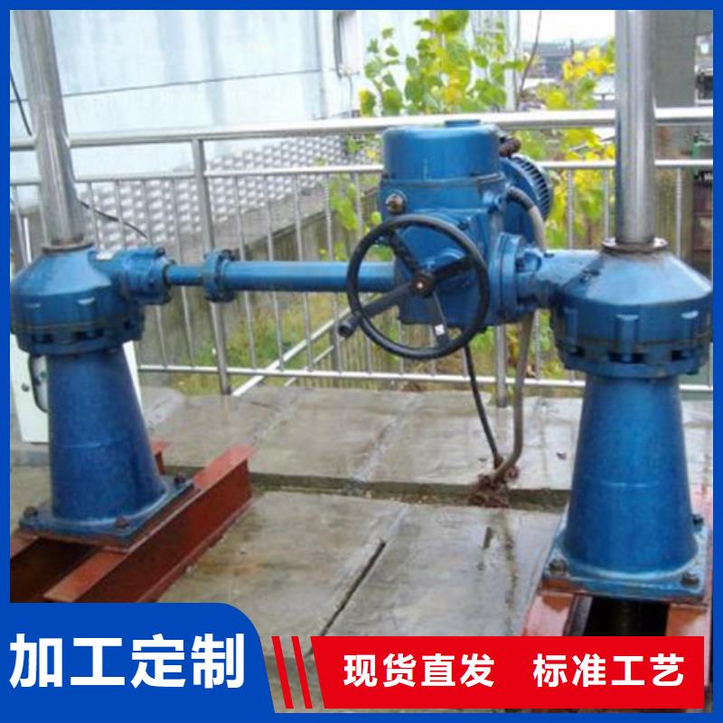 启闭机,平面钢闸门货真价实
