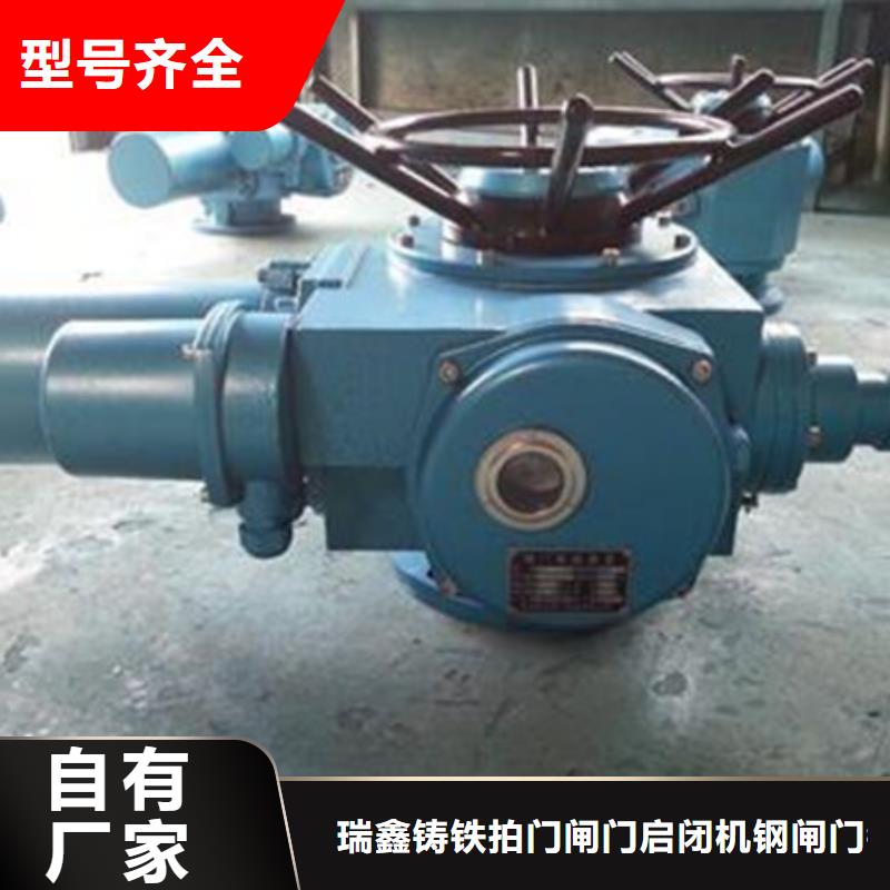 启闭机发货迅速