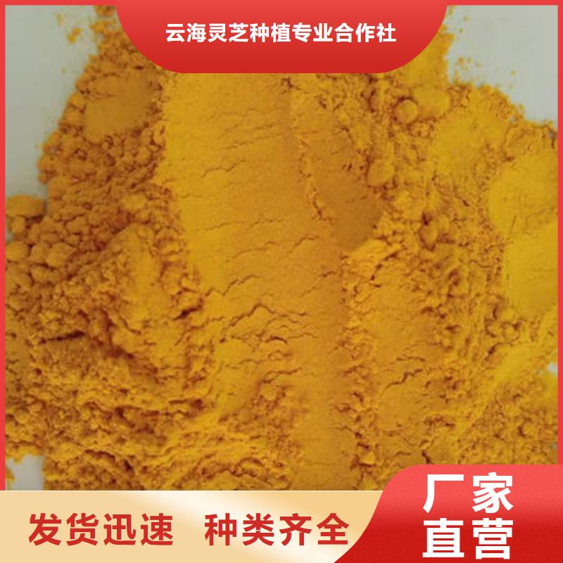 湿灵芝视频-广东省中山市云海湿灵芝可服务区域潮州|东莞|茂名|江门|韶关|肇庆|深圳等