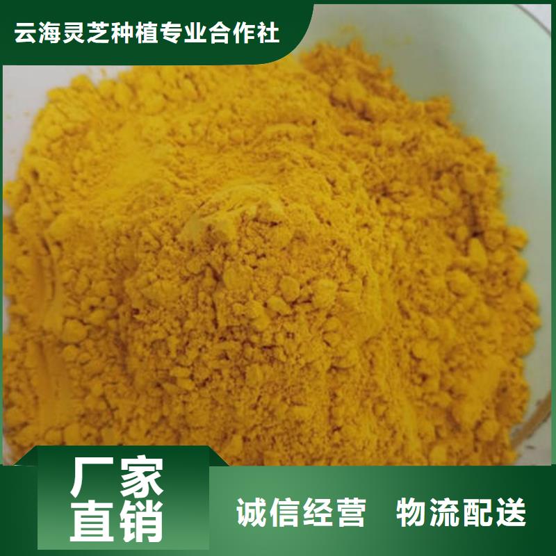 湿灵芝视频-广东省中山市云海湿灵芝可服务区域潮州|东莞|茂名|江门|韶关|肇庆|深圳等