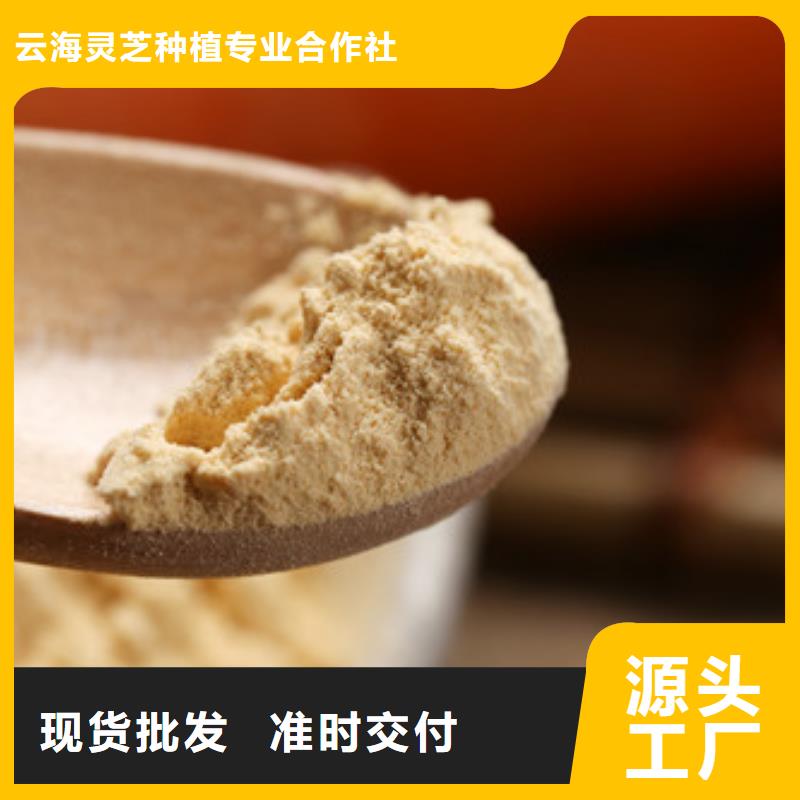 湿灵芝视频-罗源|连江|厦门|三明|龙岩|宁德湿灵芝分类和特点-云海灵芝种植专业社(福州市分公司)
