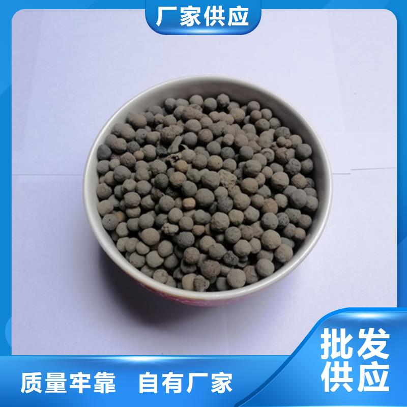 陶粒柱状活性炭多种场景适用