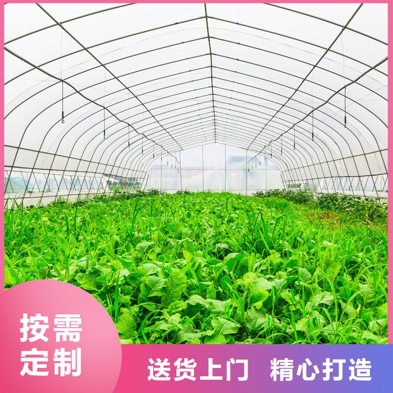 大棚管日光温室大棚厂家新品