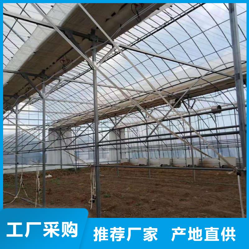 大棚管日光温室大棚厂家新品
