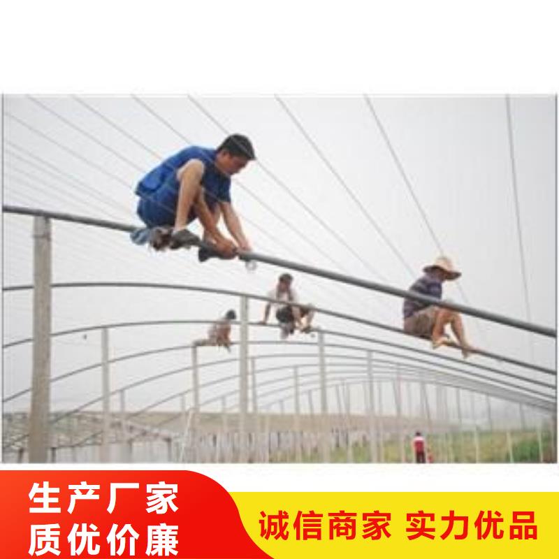 大棚管日光温室大棚厂家新品