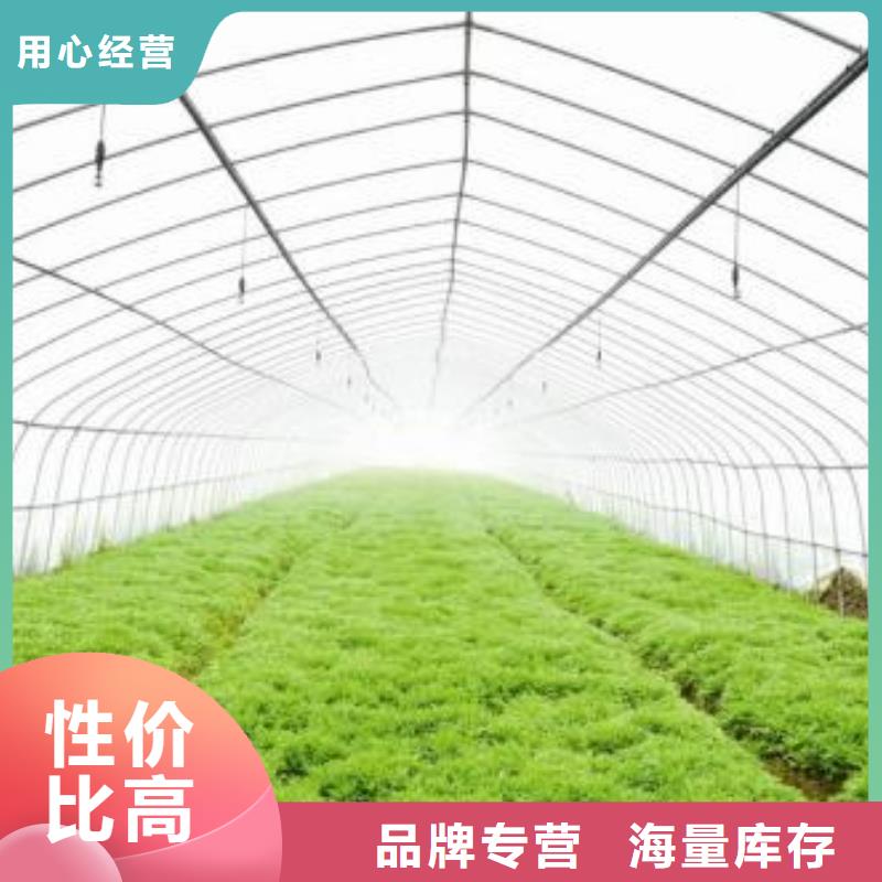 大棚管温室大棚管价格实在