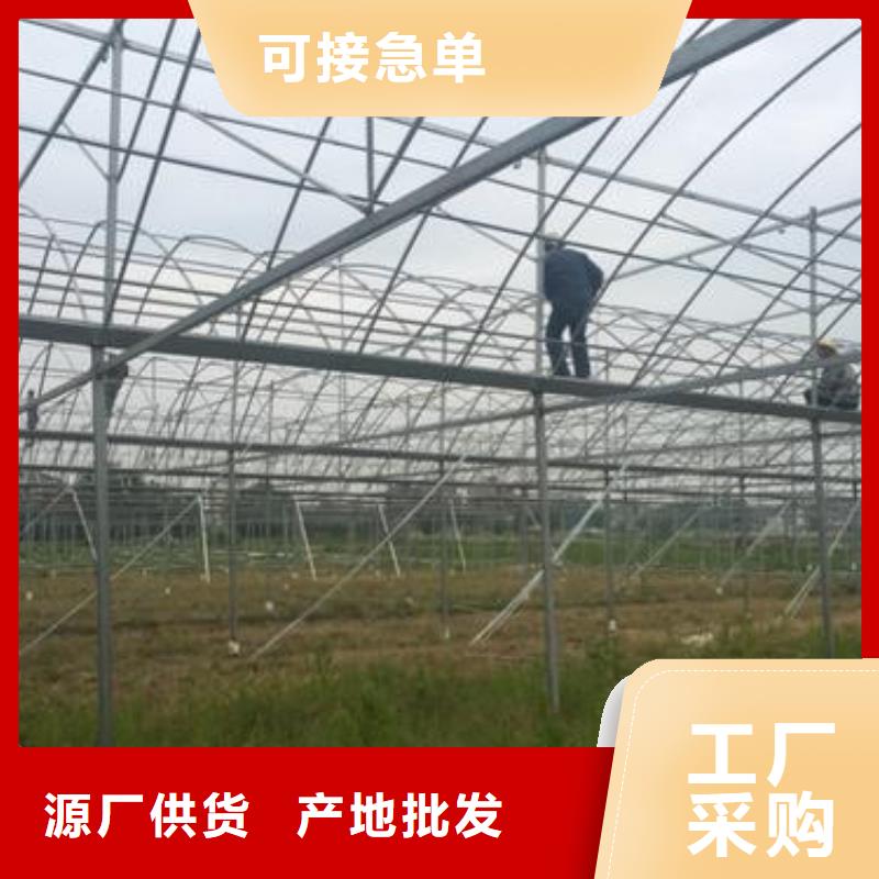 大棚管日光温室大棚厂家新品