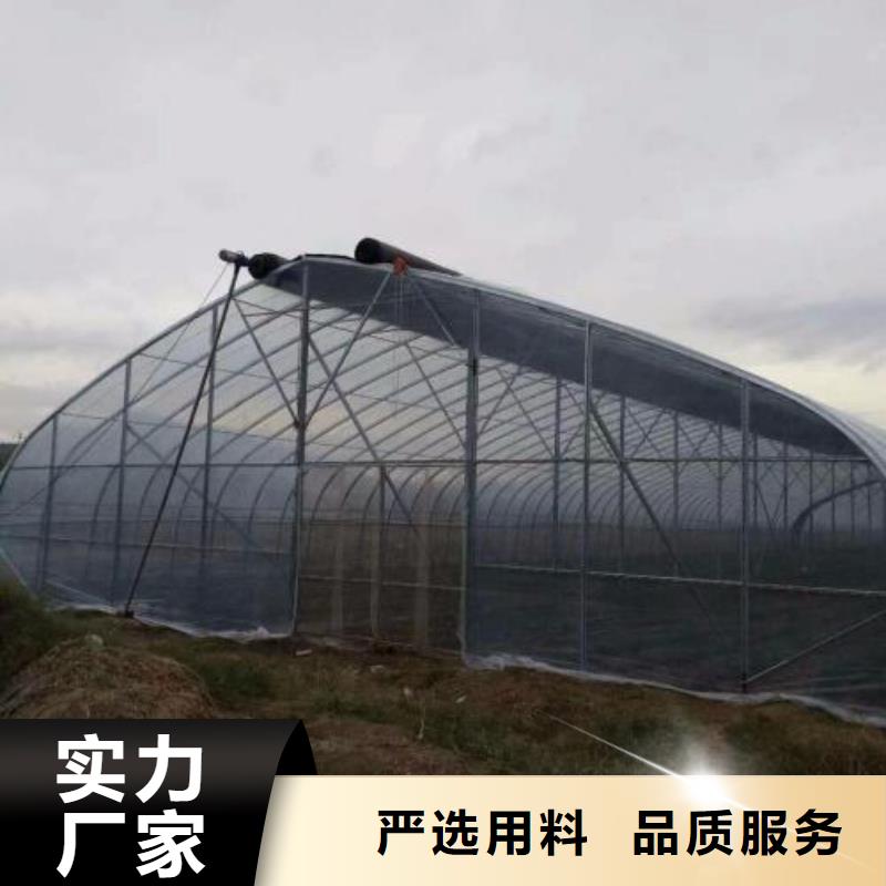 大棚管日光温室大棚厂家新品