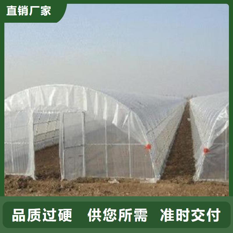 大棚管,农业养殖大棚管多种优势放心选择