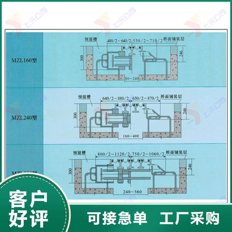 桥梁伸缩缝,钢结构支座实拍展现