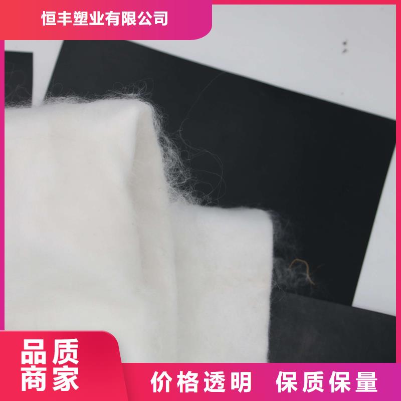 土工布钢塑土工格栅极速发货