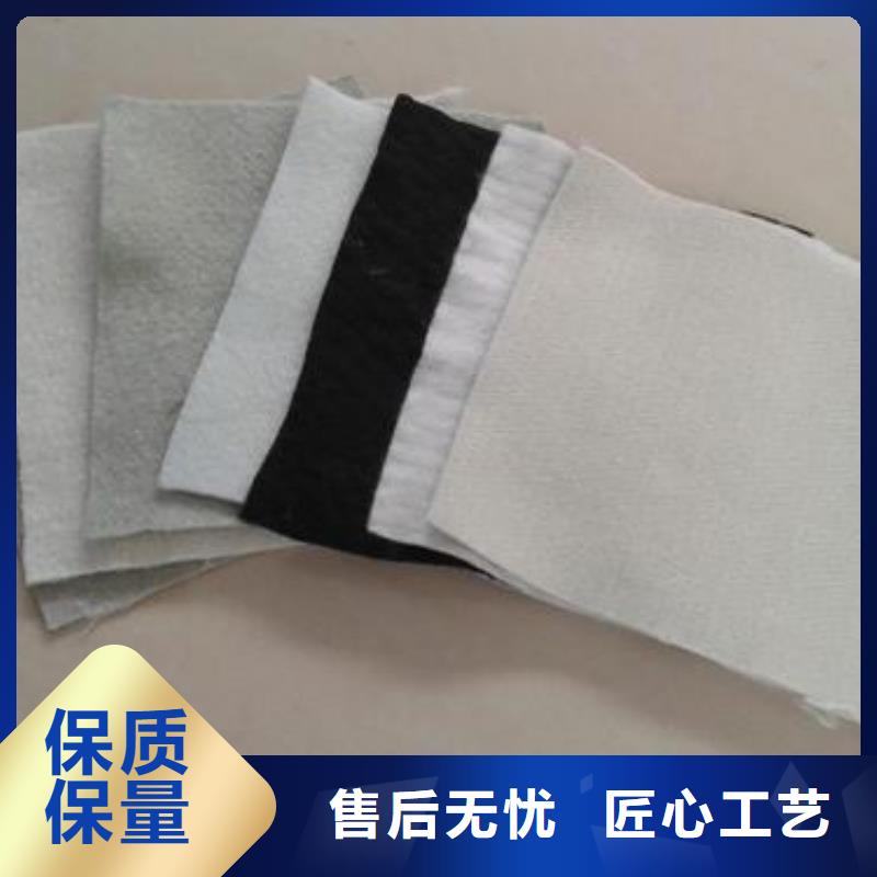 土工布钢塑土工格栅极速发货