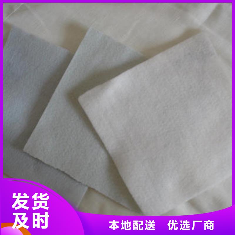 土工布钢塑土工格栅极速发货