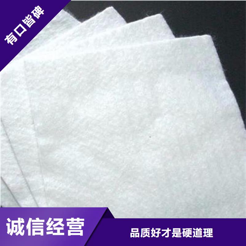 土工布钢塑土工格栅极速发货