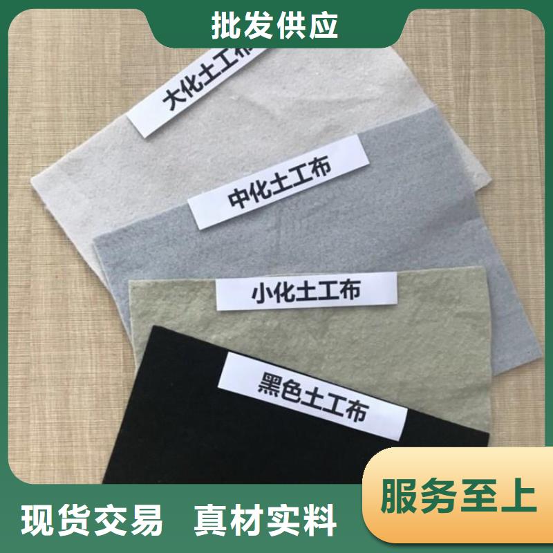 土工布钢塑土工格栅极速发货