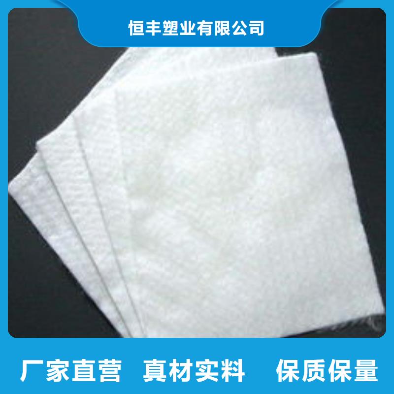 土工布钢塑土工格栅极速发货