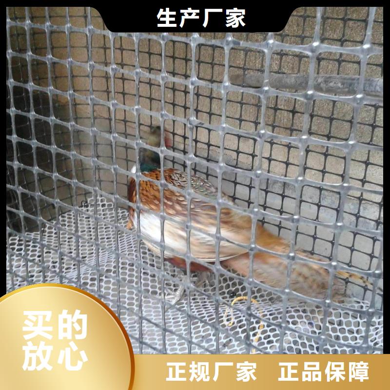 双向塑料土工格栅单向塑料土工格栅服务至上