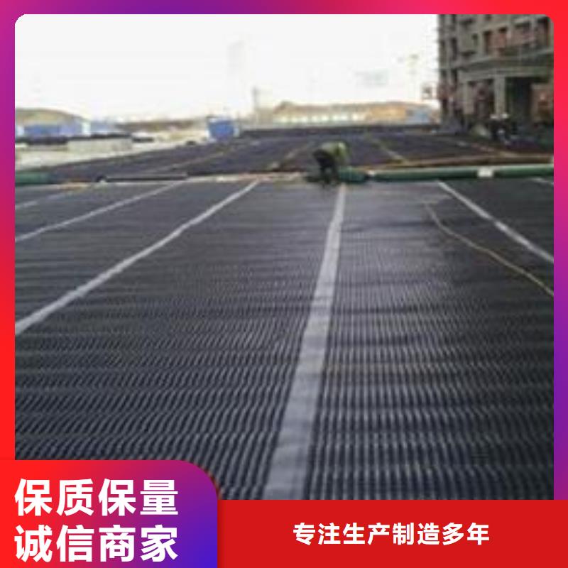 双向塑料土工格栅单向塑料土工格栅服务至上