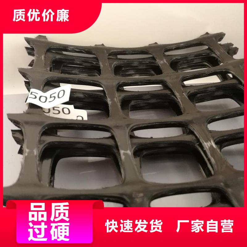 凸结点钢塑土工格栅视频-凸结点钢塑土工格栅_辽宁省丹东市市场覆盖元宝|振安|营口|鞍山|辽阳|朝阳等