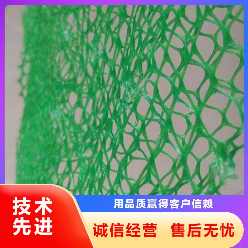 三维植被网_HDPE土工膜精选优质材料