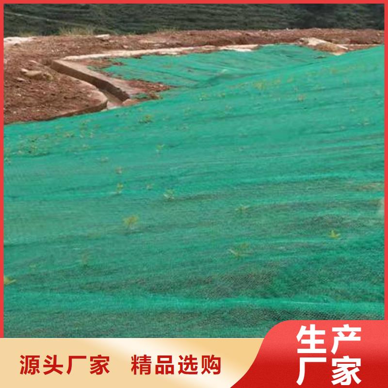 三维植被网_HDPE土工膜精选优质材料