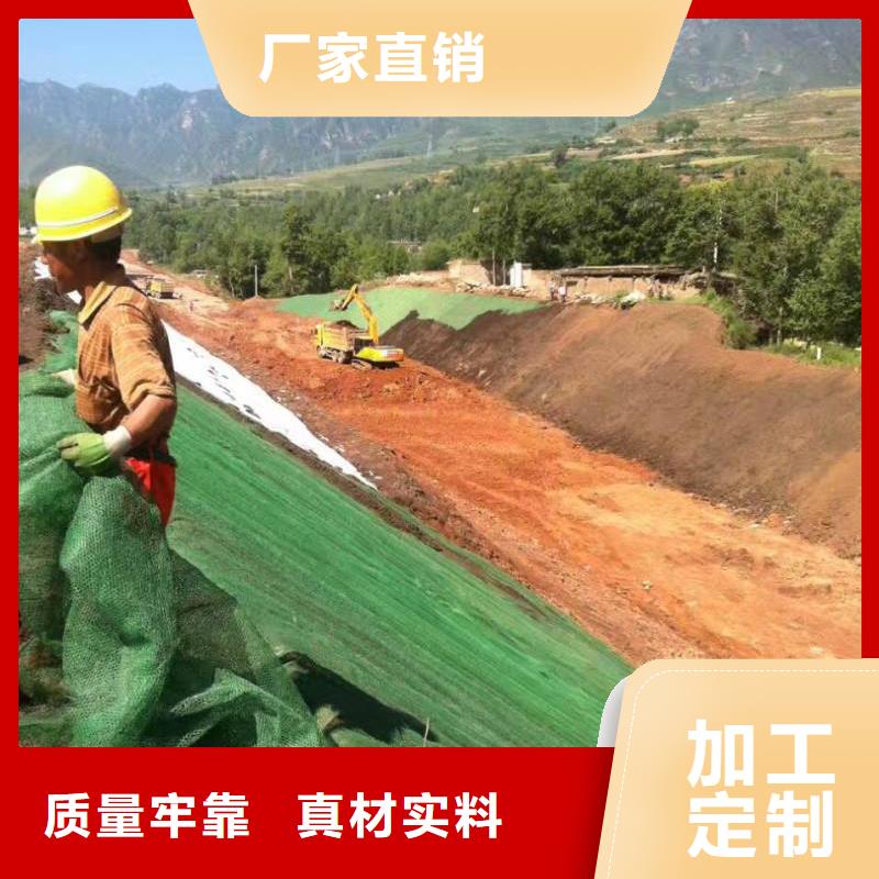 三维植被网_HDPE土工膜精选优质材料