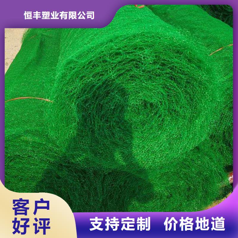 三维植被网_HDPE土工膜精选优质材料