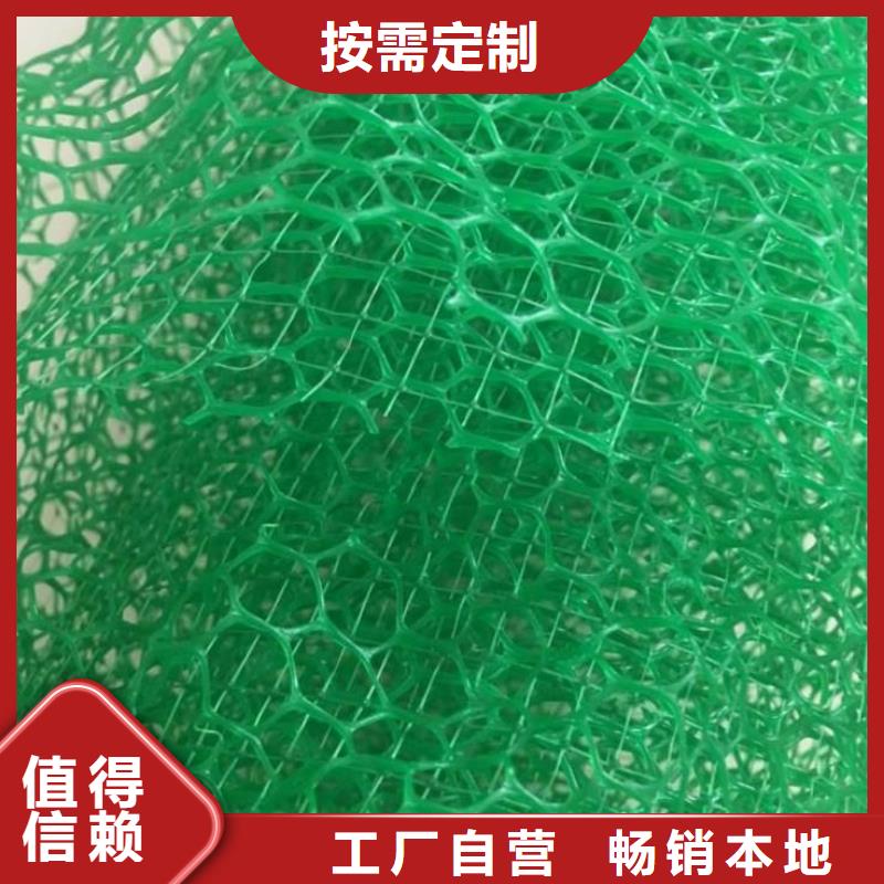 三维植被网_HDPE土工膜精选优质材料