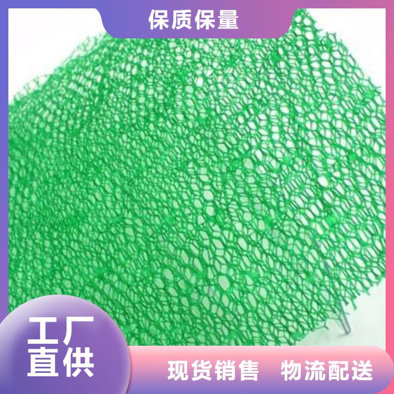 三维植被网_HDPE土工膜精选优质材料