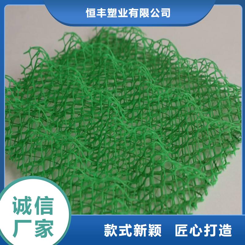 三维植被网_HDPE土工膜精选优质材料