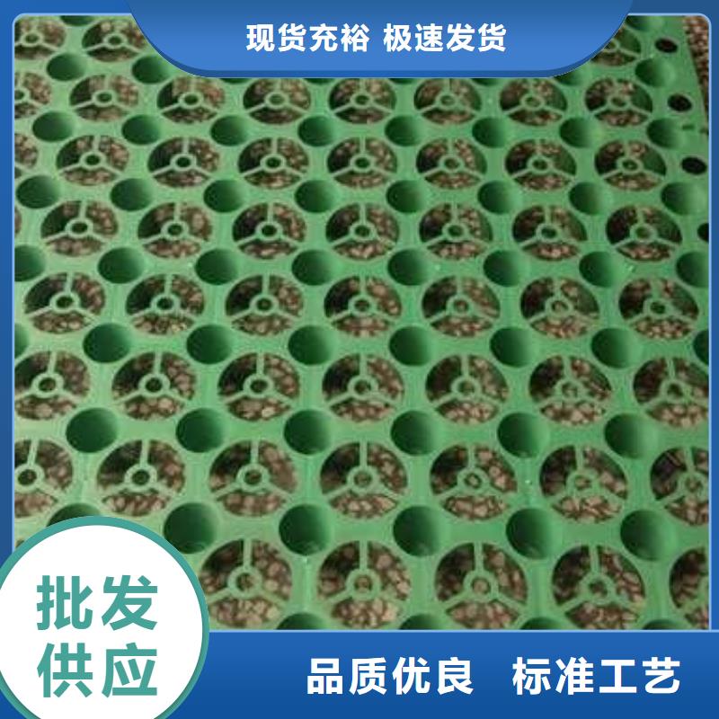 排水板,塑料土工滤网工厂自营