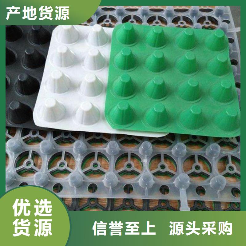 排水板,塑料土工滤网工厂自营