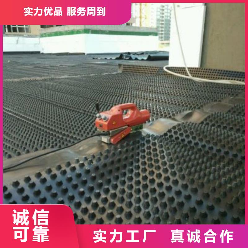 排水板,塑料土工滤网工厂自营