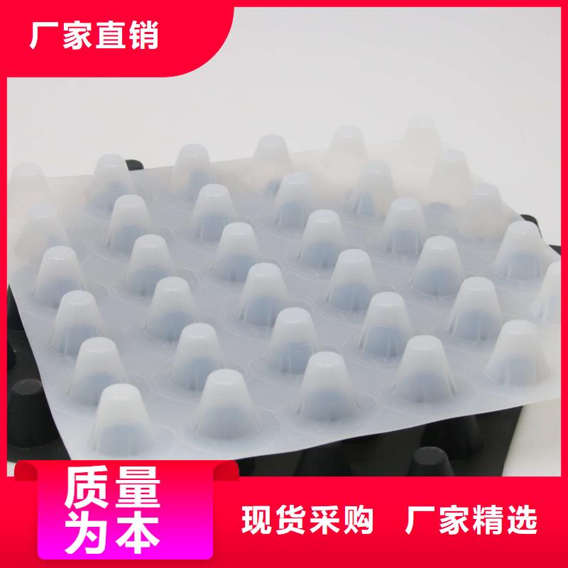 排水板,塑料土工滤网工厂自营