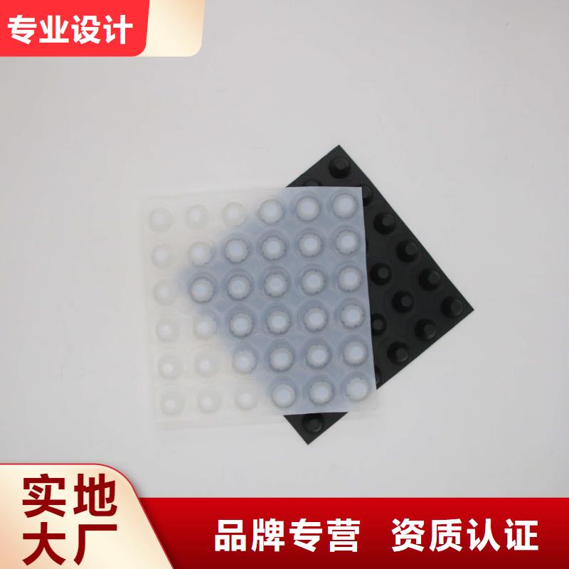 排水板,塑料土工滤网工厂自营