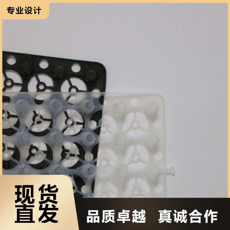 排水板,塑料土工滤网工厂自营