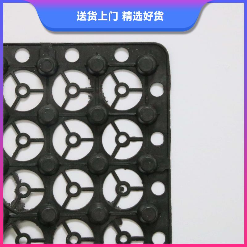 排水板,塑料土工滤网工厂自营