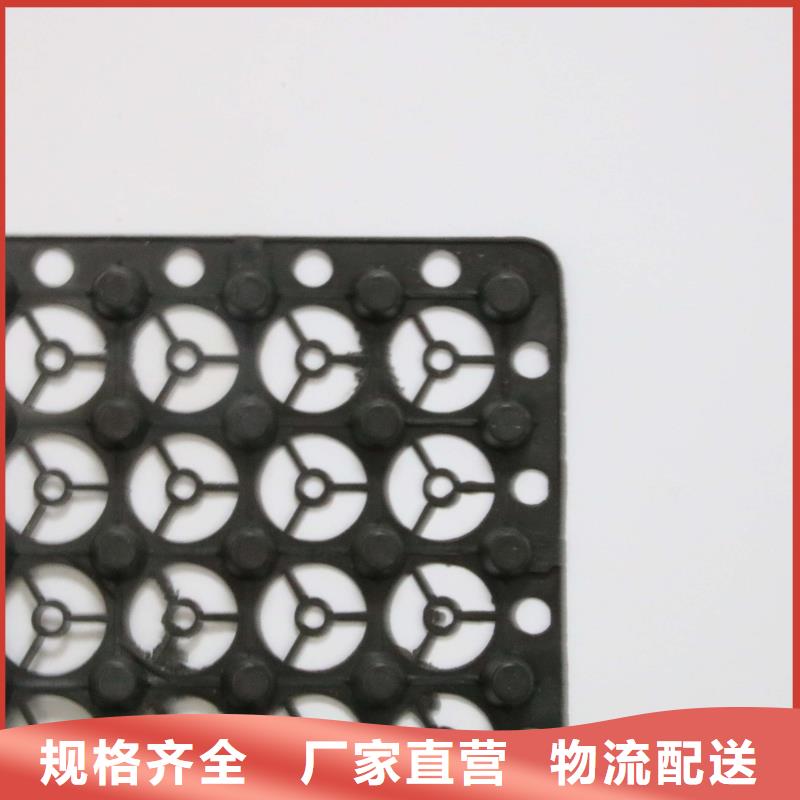 排水板,塑料土工滤网工厂自营